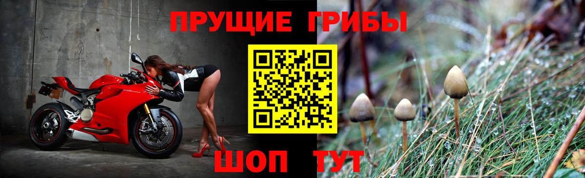 Псилоцибиновые грибы мухоморы  Псилоцибиновые грибы GOLDEN TEACHER  Брянск  Вход с VPN 